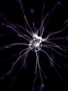 Glowing neuron and dendritic arms.