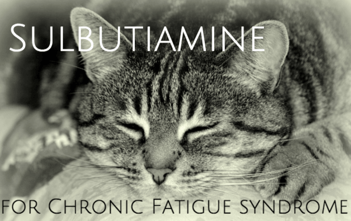 does sulbutiamine work for cfs?