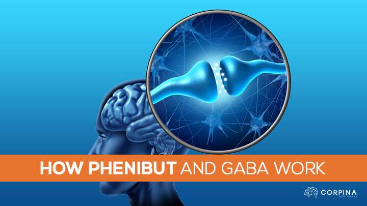 how does phenibut and gaba work together