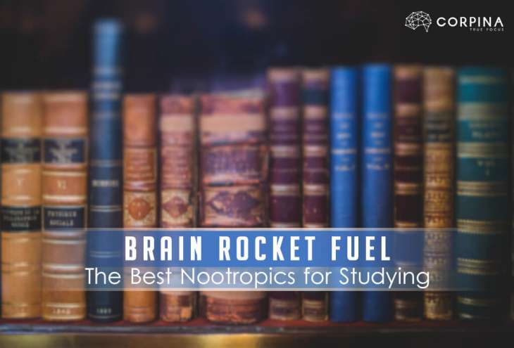 what is the best nootropics stack for studying