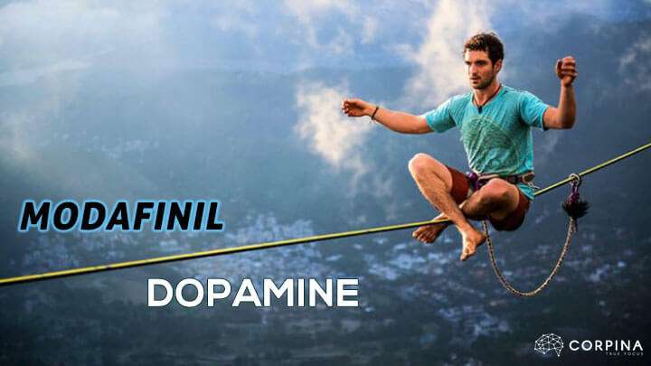 modafinil dopamine