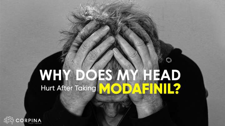 Why Does My Head Hurt after Taking Modafinil » Corpina