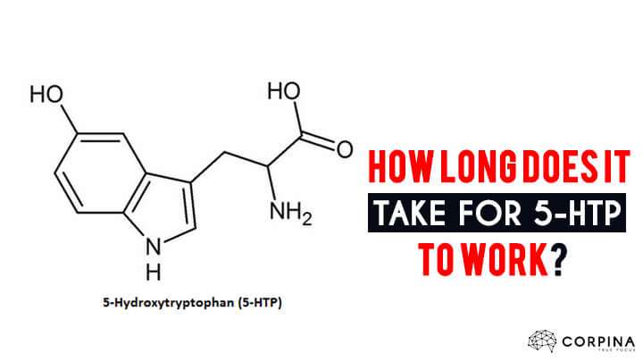 how long does 5 htp take to work