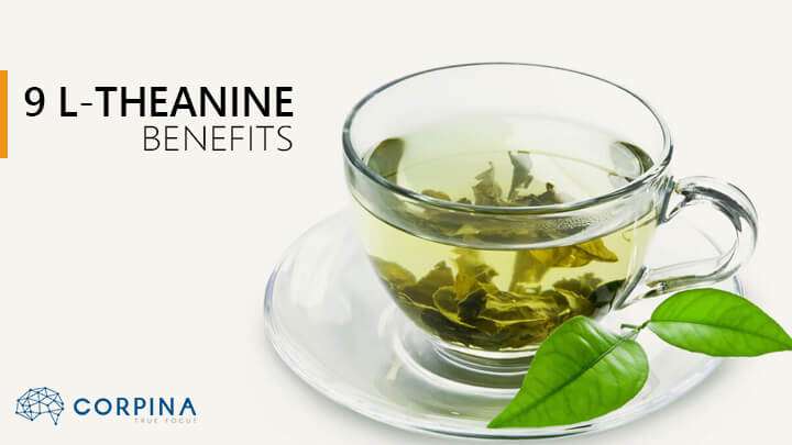 does l theanine help with weight loss