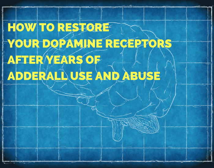 How to Restore your Dopamine Receptors » Corpina (2022)