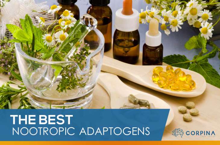 what are the best nootropic adaptogen herbs
