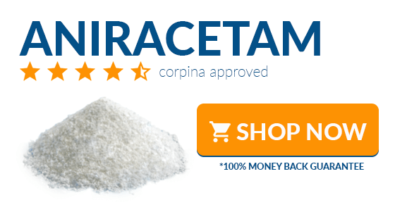 where to buy aniracetam online