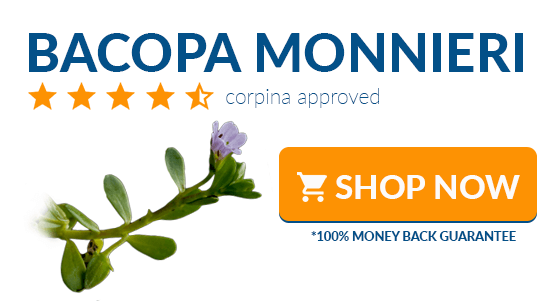 where to buy bacopa monnieri online