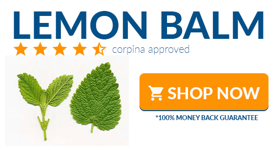 where to buy lemon balm online