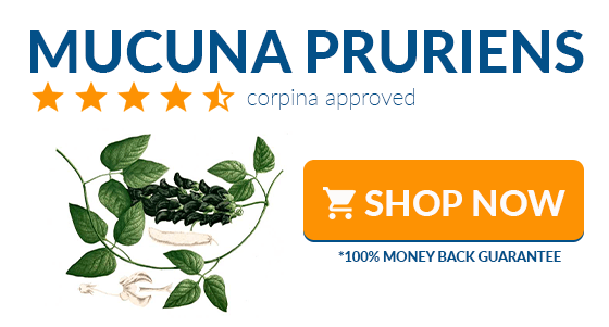 where to buy mucuna pruriens online