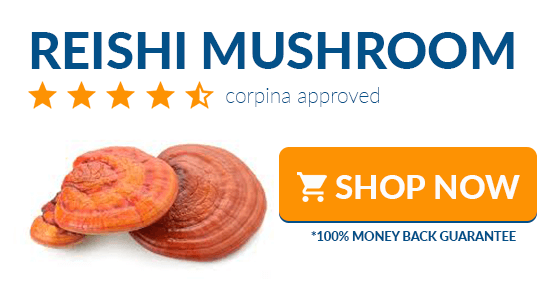 where to buy reishi mushroom online
