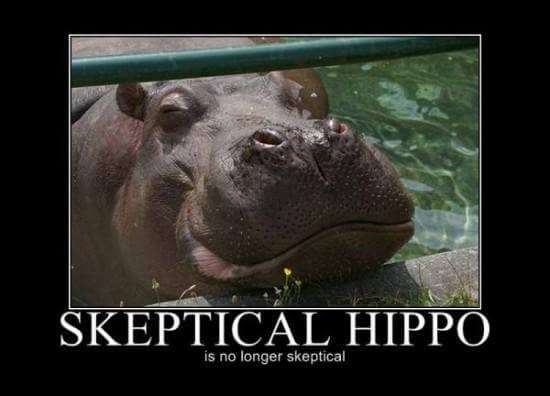 hippo meme showing that he is not skeptical of alpha brain