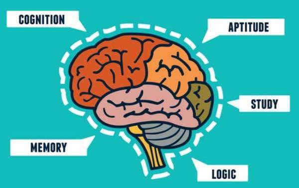 image of a brain asking what is the best nootropic stack in 2017, for focus memory attention and learning