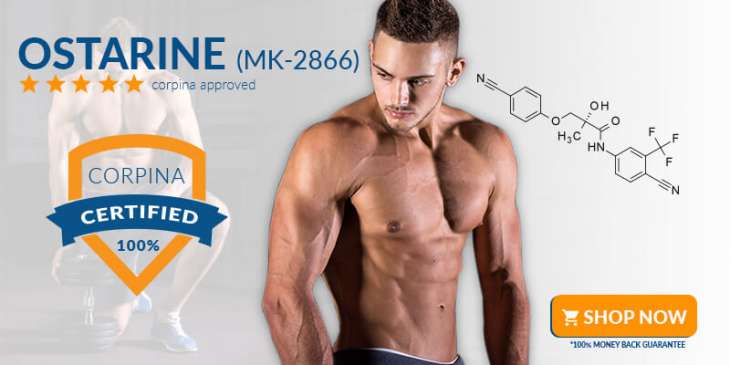 my review and banner for buying ostarine mk2866 banner this year